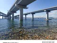 -星海湾跨海大桥