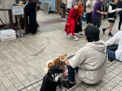 -横滨红砖仓库1号馆