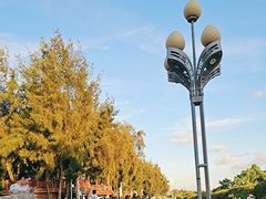 -宝安西湾红树林湿地公园