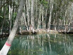 -艾提尕尔清真寺