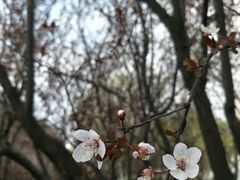 -天鹅湖体育公园
