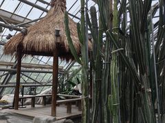 -南山植物园