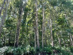 -白草畔自然风景区