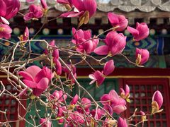 -潭柘寺景区