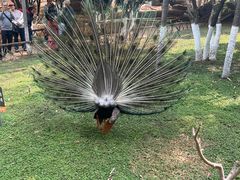 -昆明动物园