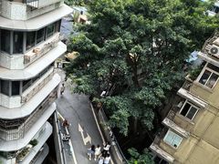 -白象居