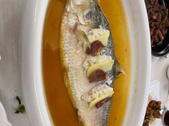 老酒蒸鲥鱼-银都上海菜馆(粤海东路店)