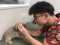 -立德动物医院·24小时中心(番禺区院区)