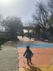 -大望京儿童游乐场