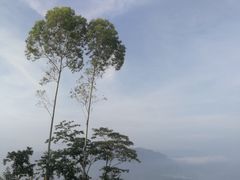 -蓝记云吞(正果店)