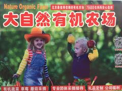 -大自然农场蔬菜草莓采摘园