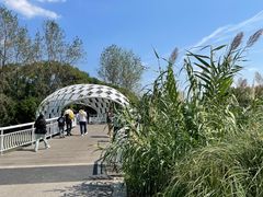 -同里国家湿地公园
