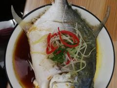 -懒熊月嫂中心(金鸡湖店)