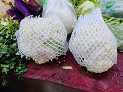 -岳各庄批发市场(西四环中路店)