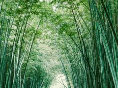 -同里国家湿地公园