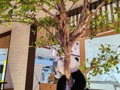 -川成元·麻辣香锅(凯德MALL西直门店)