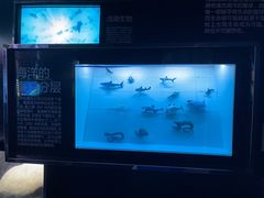 -同济大学四平路校区深海探索馆