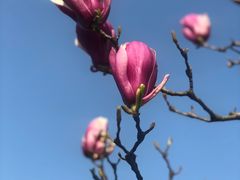 -白塘生态植物园