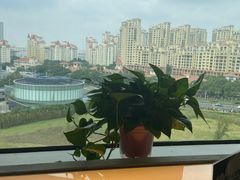 大堂-云海肴·汽锅鸡·云南菜(苏州中心店)