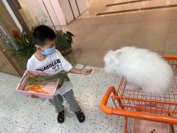 -Moni星球萌宠·小马宝莉·灵蛇·高端高阶全萌宠互动体验俱乐部(红豆国际广场店)