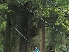 -径山寺