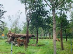 -秦皇岛野生动物园