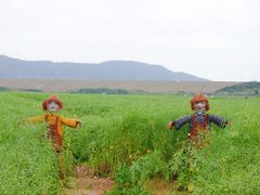 -光明小镇欢乐田园