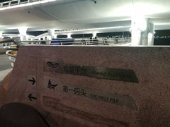 -演武大桥观景平台