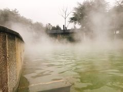-三江森林温泉度假区