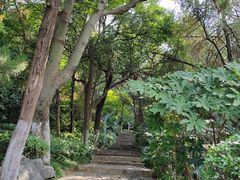 -云龙山
