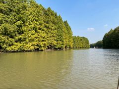 -上海海湾国家森林公园