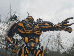-武隆天坑地缝国家地质公园
