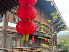 -大唐贡茶院