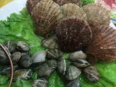 -清真·马家火锅美食城(镇江北路店)