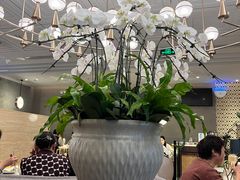 -鹿港小镇(霄云店)