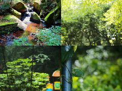 -昆明青龙峡风景区