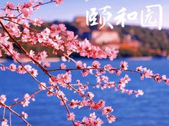 -颐和园