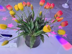 -CIAO·团建聚餐·生日派对轰趴馆(福田店)