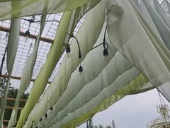 -白鹭湾湿地公园