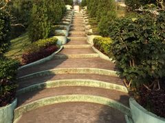 -龙环葡韵住宅式博物馆