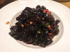 -九毛九西北菜(大东海店)