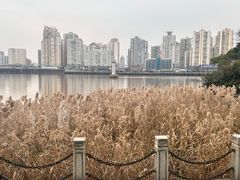 -江心屿景区