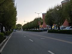 -特克斯八卦城
