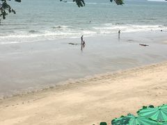 -卷心菜和避孕套餐厅(Pattaya)