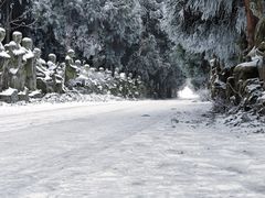 -武陵山森林公园