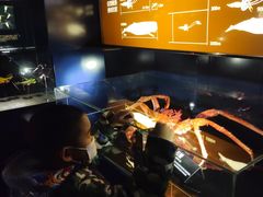 -同济大学四平路校区深海探索馆