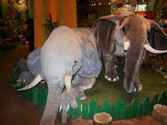 -济州岛泰迪熊博物馆