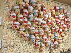 -柴犬高等学院·狗咖·柴犬售卖·宠物训练