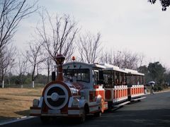 -漩门湾国家湿地公园