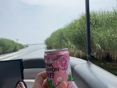 -白洋淀景区